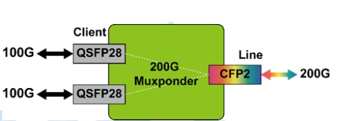 Sintai 200G OTN Muxponder Functional Structure